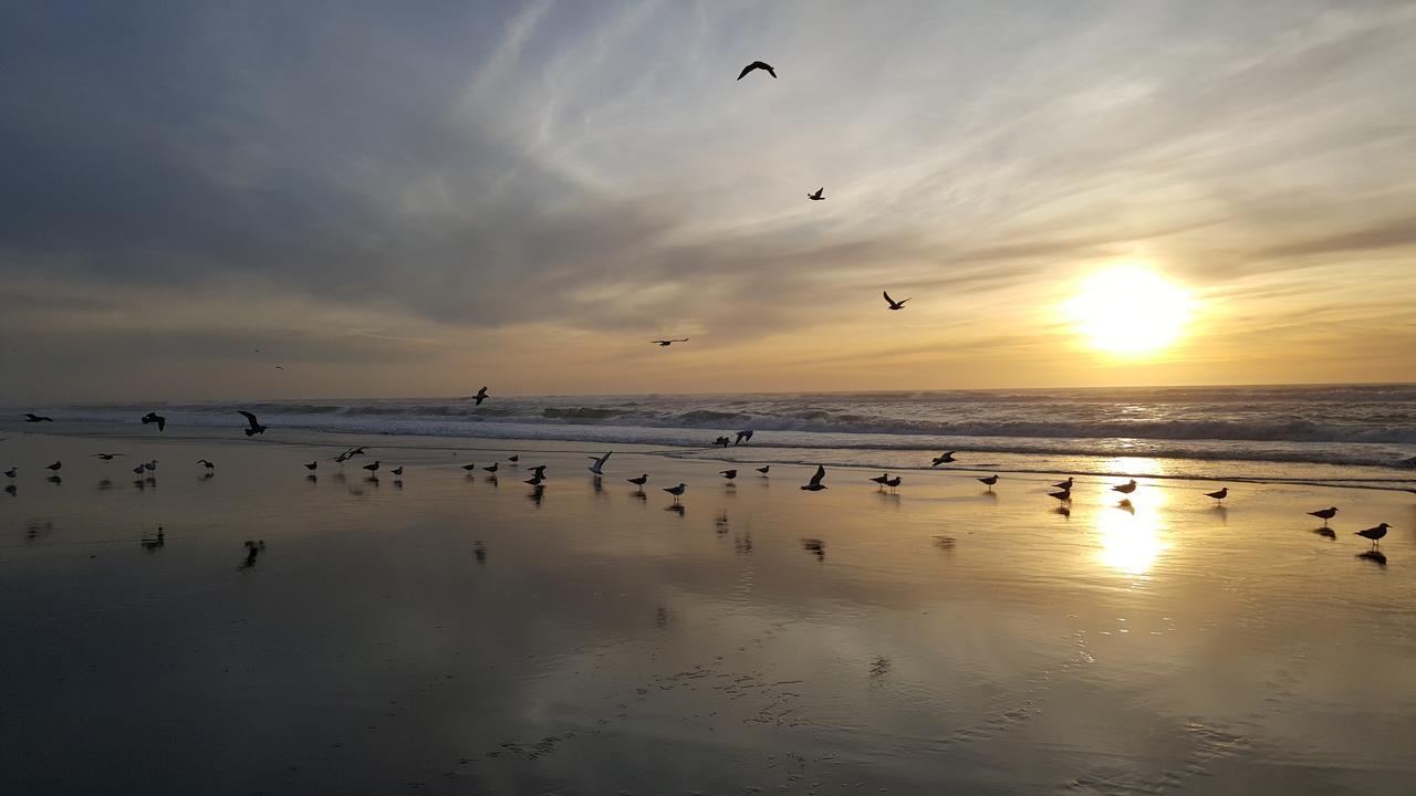 Winchester Bay Inn Reedsport Kültér fotó