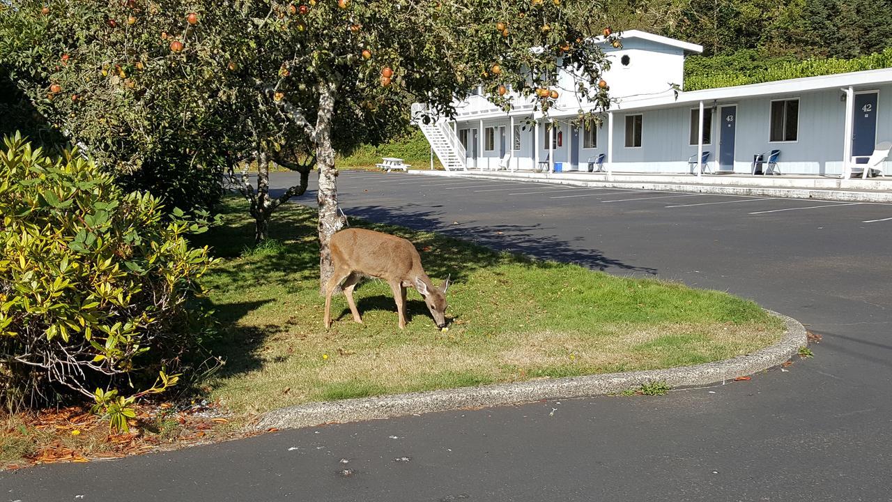 Winchester Bay Inn Reedsport Szoba fotó